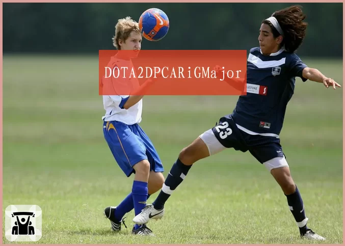 DOTA2DPCARiGMajor