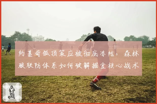 约基奇弧顶策应被彻底冻结，森林狼联防体系如何破解掘金核心战术？