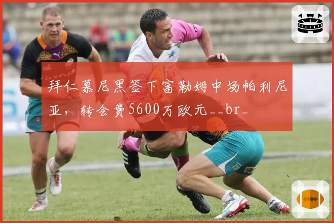 拜仁慕尼黑签下富勒姆中场帕利尼亚，转会费5600万欧元__br_