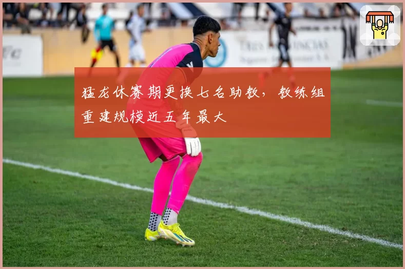 猛龙休赛期更换七名助教，教练组重建规模近五年最大