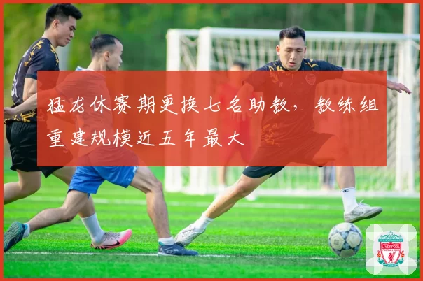 猛龙休赛期更换七名助教，教练组重建规模近五年最大